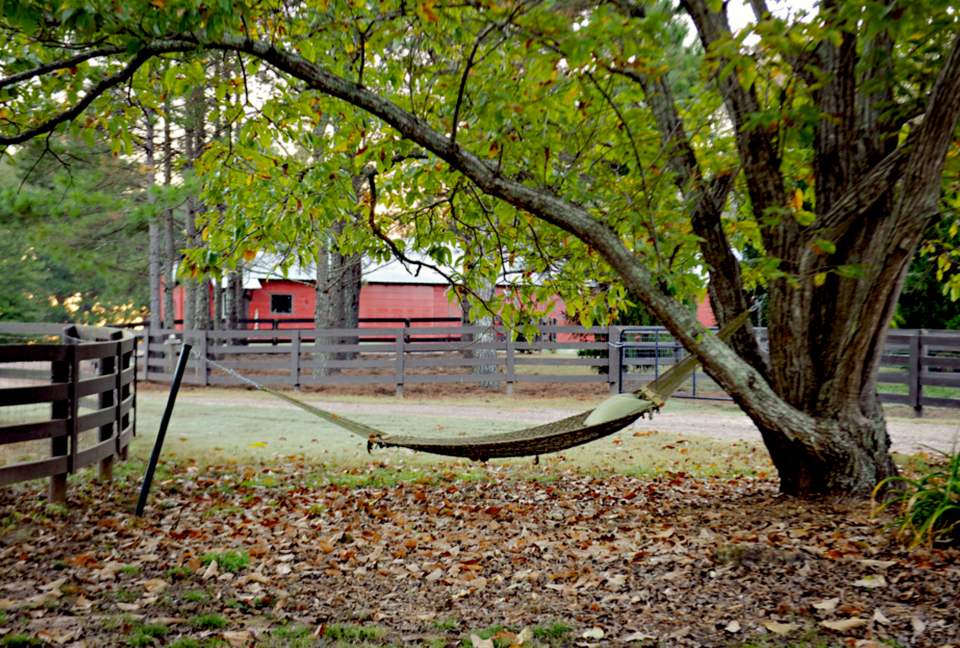 Bogle Farms - Greenville, Georgia