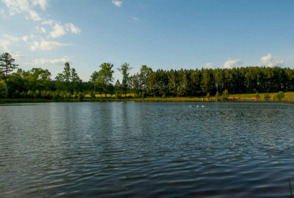 Bogle Farms - Greenville, Georgia
