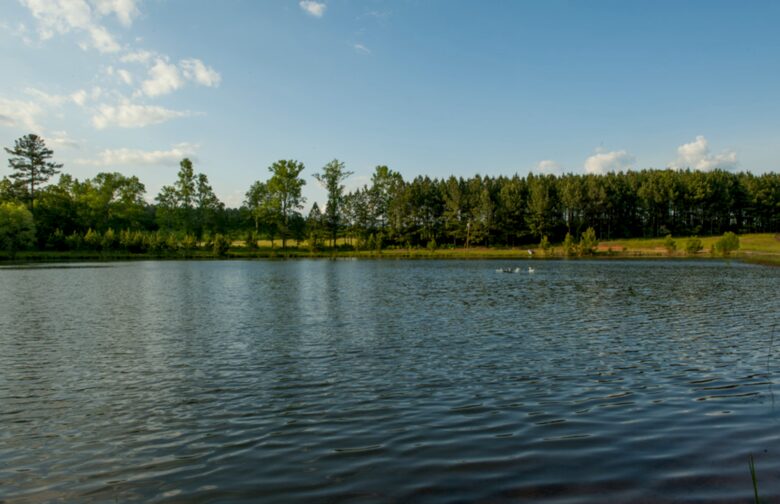 Bogle Farms - Greenville, Georgia