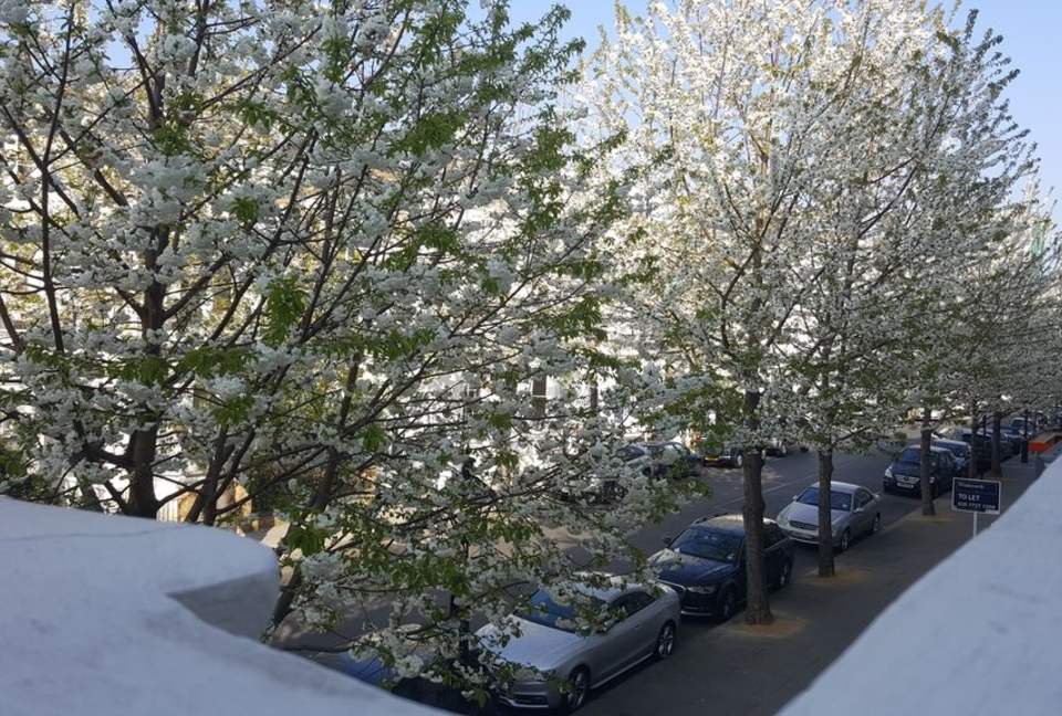 Prestige Apartment near Kensington Palace and Notting Hill, London - Kensington, United Kingdom