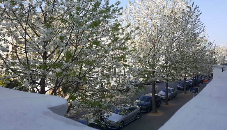 Prestige Apartment near Kensington Palace and Notting Hill, London - Kensington, United Kingdom