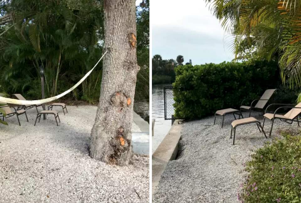 Siesta Key Retreat - Siesta Key, Florida