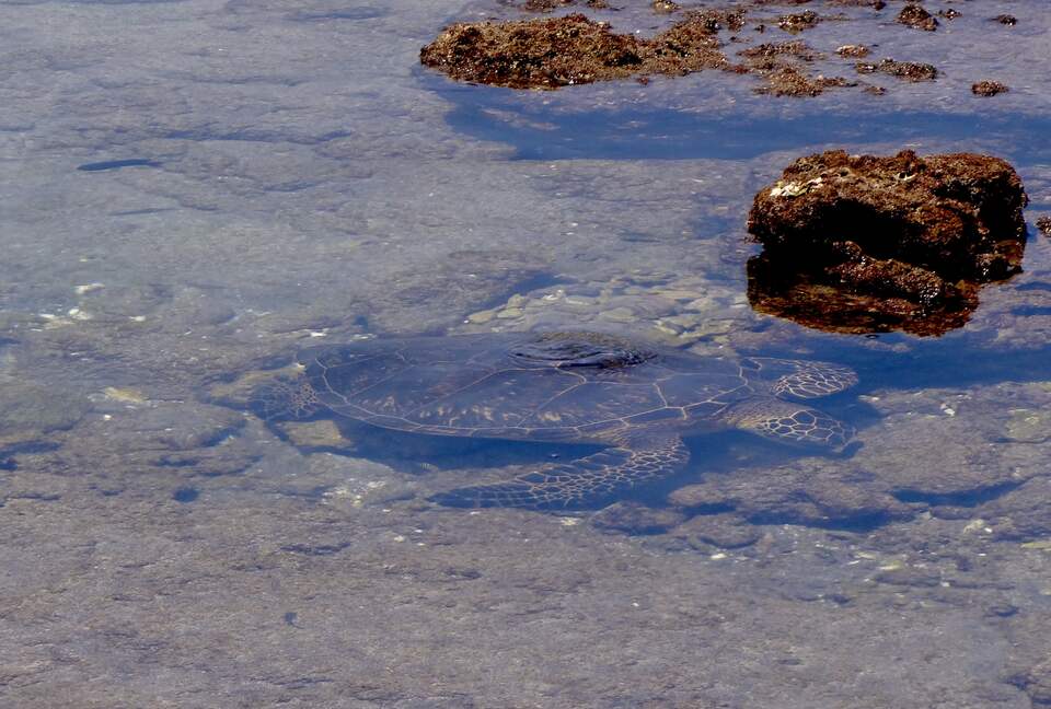 Spectacular Oceanview Condo: Stylish and Serene - Waikoloa, Big Island, Hawaii
