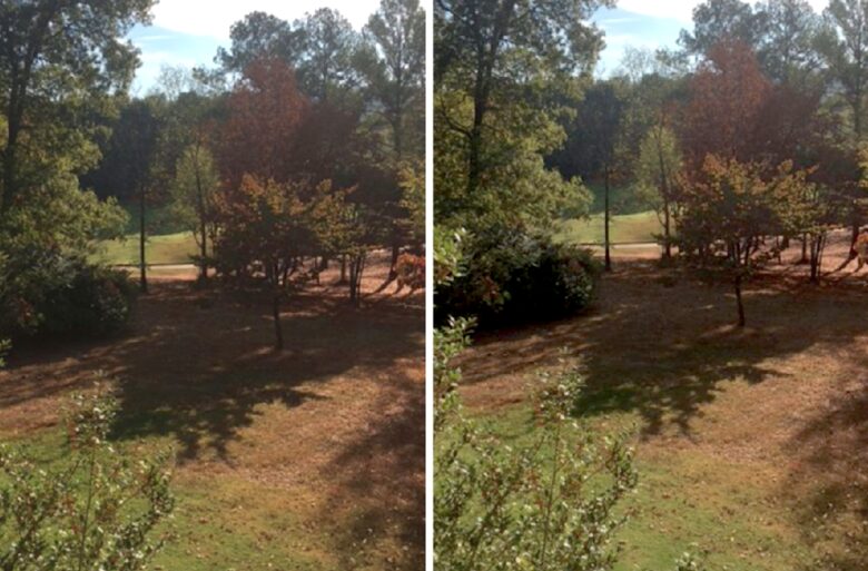 Robert Trent Jones Oxmoor Valley Course - Sunbelt Manor - Bessemer, Alabama