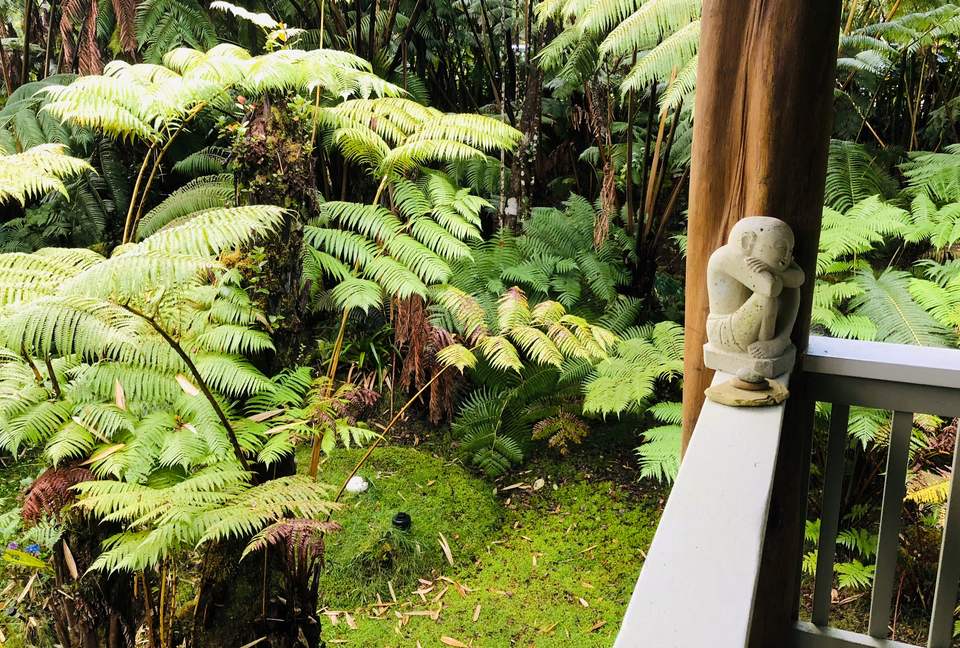 Volcano Black Bamboo House - Volcano, Big Island, Hawaii