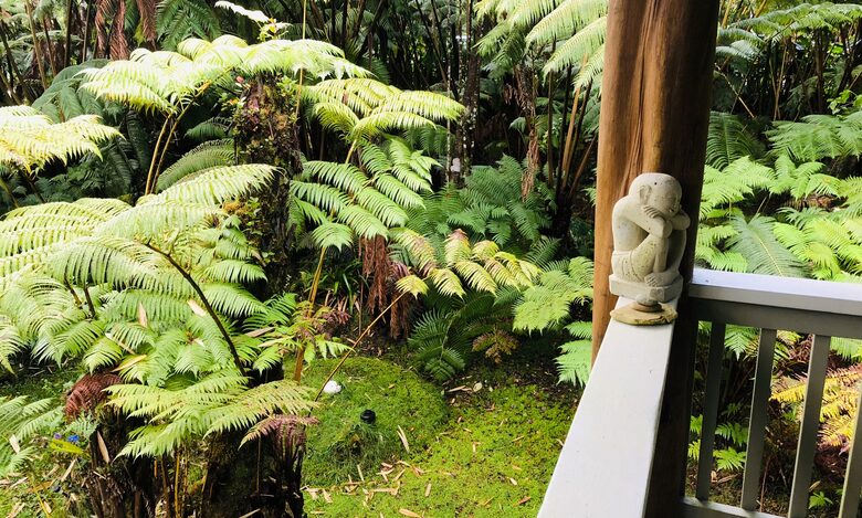 Volcano Black Bamboo House - Volcano, Big Island, Hawaii