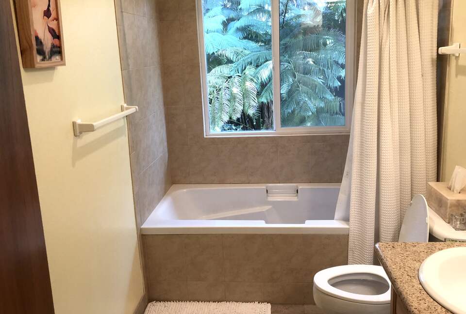 Volcano Black Bamboo House - Volcano, Big Island, Hawaii