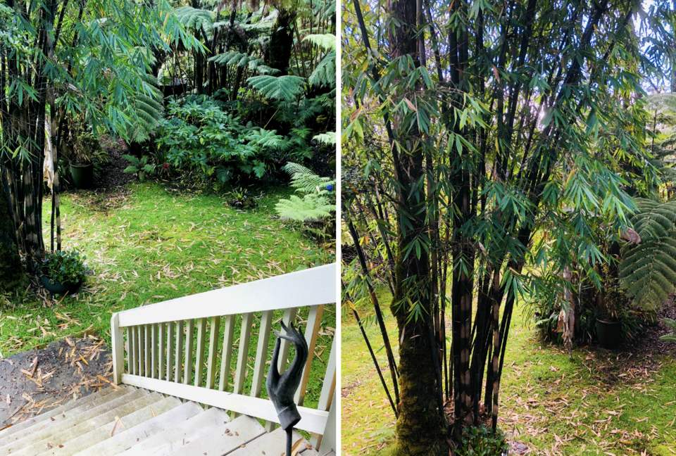 Volcano Black Bamboo House - Volcano, Big Island, Hawaii