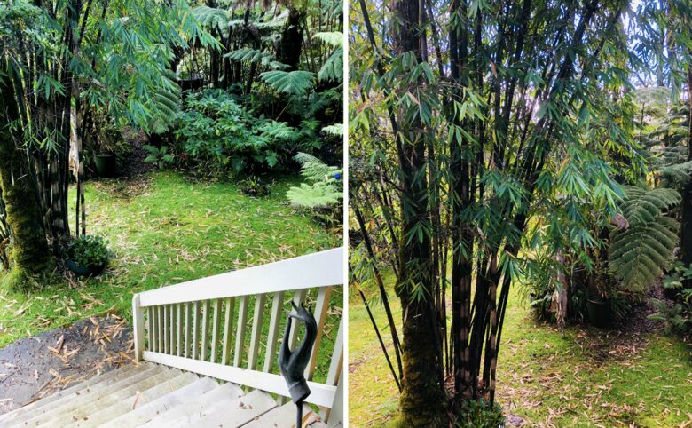 Volcano Black Bamboo House - Volcano, Big Island, Hawaii