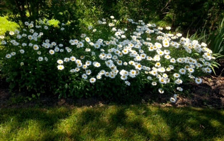 Chesapeake Bay Luxury - North East, Maryland