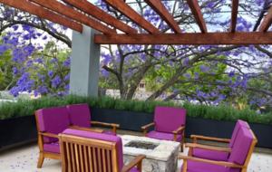 San Miguel Contemporary Home with an Old World Flare - San Miguel de Allende, Mexico