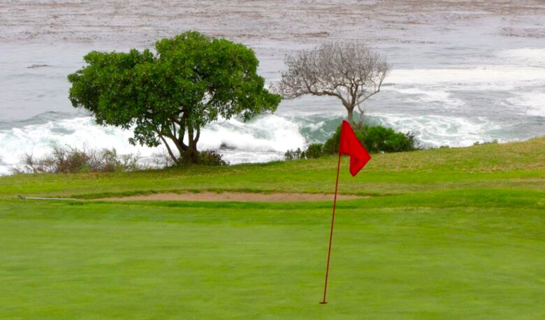 Casa de Perros Amarillos - Bajamar Oceanfront Resort - Ensenada, Mexico