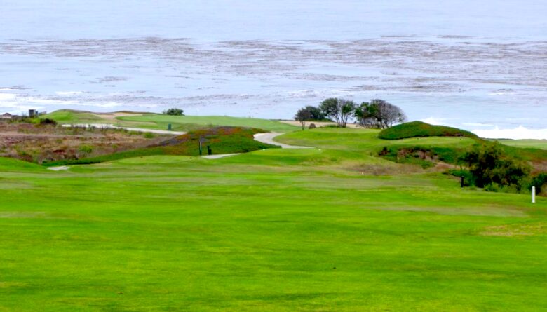 Casa de Perros Amarillos - Bajamar Oceanfront Resort - Ensenada, Mexico