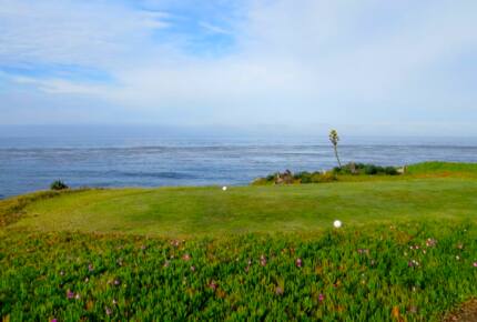 Casa de Perros Amarillos - Bajamar Oceanfront Resort - Ensenada, Mexico