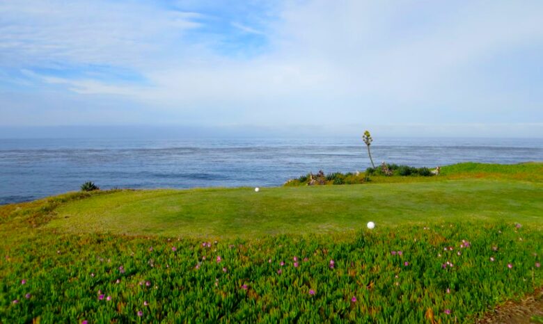 Casa de Perros Amarillos - Bajamar Oceanfront Resort - Ensenada, Mexico