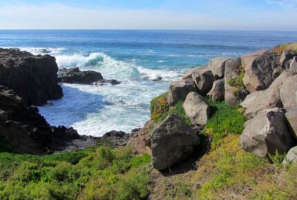 Casa de Perros Amarillos - Bajamar Oceanfront Resort - Ensenada, Mexico