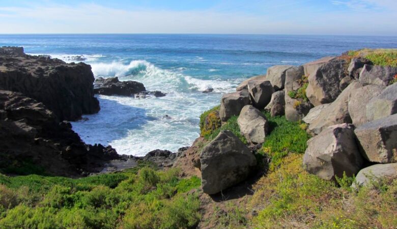 Casa de Perros Amarillos - Bajamar Oceanfront Resort - Ensenada, Mexico