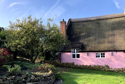 Orchard Cottage - Somerset, United Kingdom