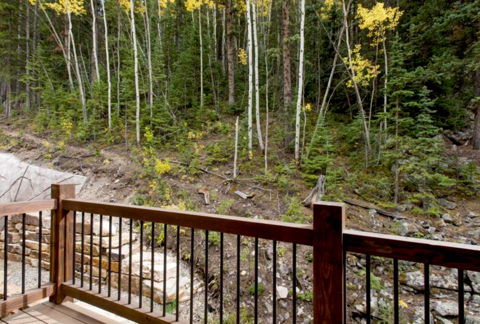 Hidden Pines Haven - Breckenridge, Colorado
