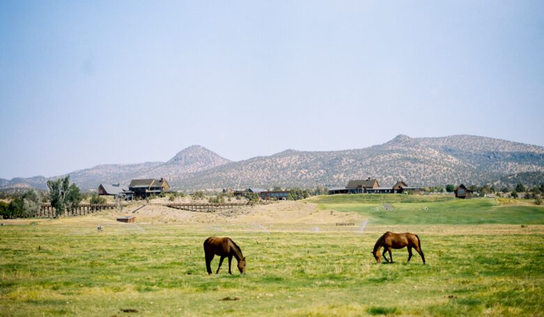 Brasada Ranch Two-Bedroom Cabin - Powell Butte, Oregon