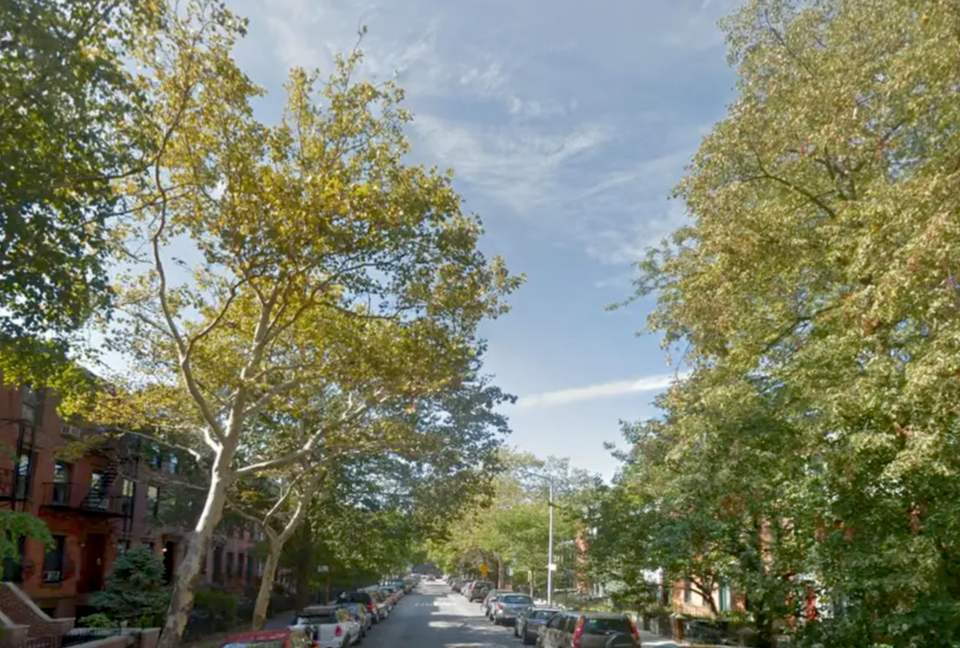 Boerum Hill Spacious Two-Bedroom Apartment - Brooklyn, New York