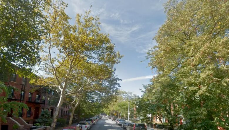 Boerum Hill Spacious Two-Bedroom Apartment - Brooklyn, New York