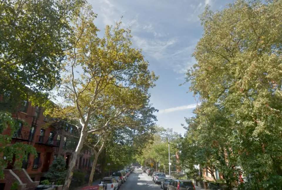 Bright and Spacious Boreum Hill Two-Bedroom Apartment - Brooklyn, New York