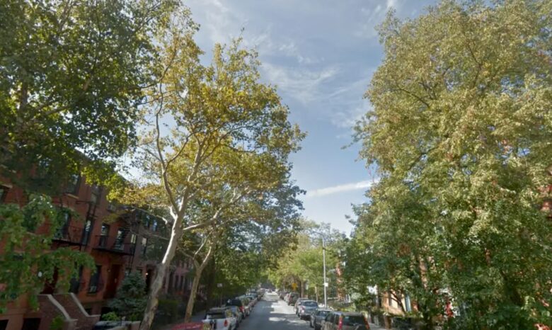 Bright and Spacious Boreum Hill Two-Bedroom Apartment - Brooklyn, New York