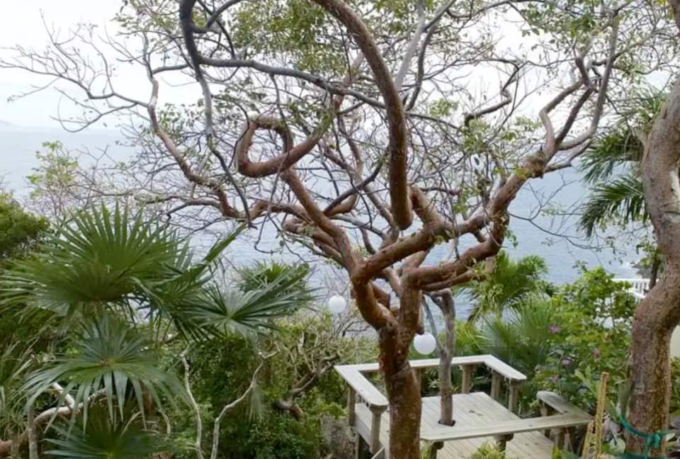 Hammertime Villa - St. Thomas, Virgin Islands, U.S.