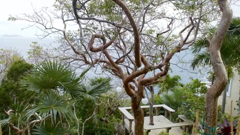 Hammertime Villa - St. Thomas, Virgin Islands, U.S.