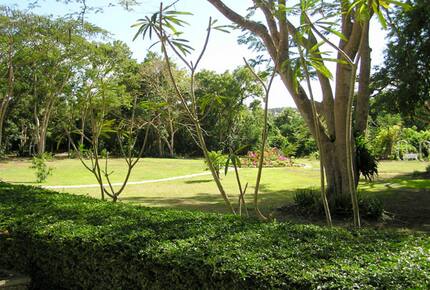 The Plantation - St. Michael's, Barbados