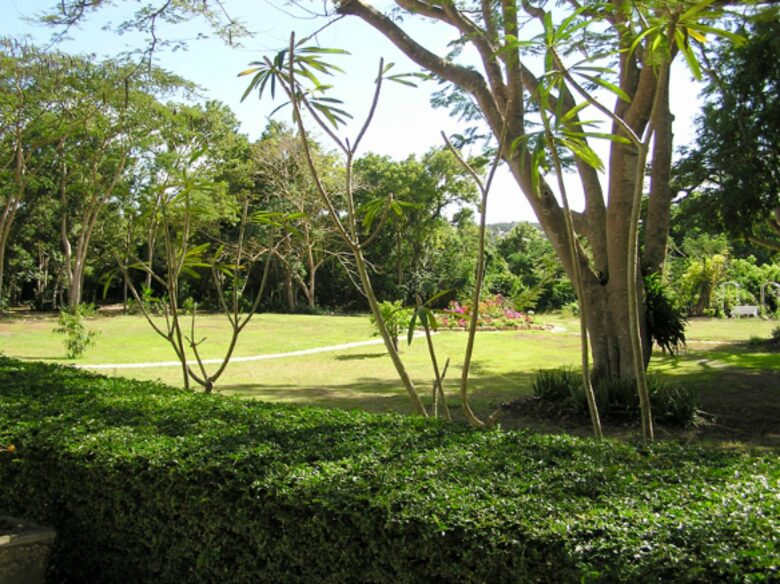 The Plantation - St. Michael's, Barbados