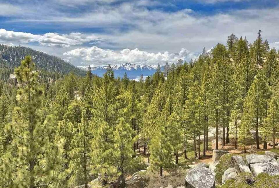 Summer views from lower deck.