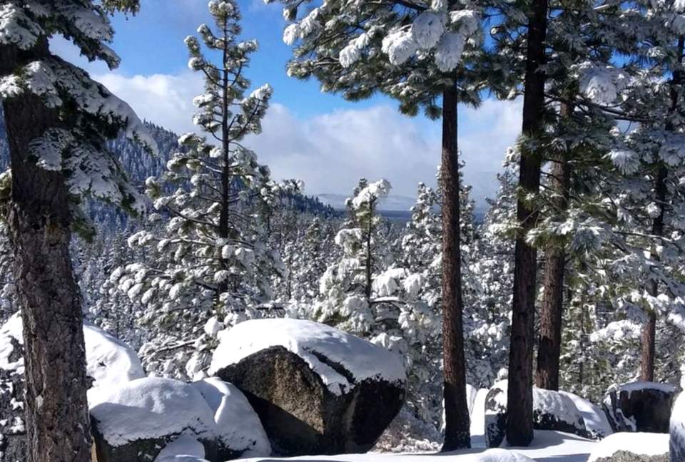 Winter views from driveway.