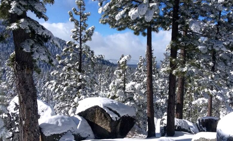 Winter views from driveway.