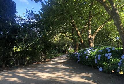 Lyncroft Estate - 30 Private Acres, 3 Acres of Manicured Gardens! - Shoreham, Australia