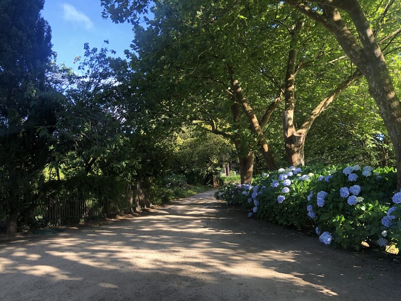 Lyncroft Estate - 30 Private Acres, 3 Acres of Manicured Gardens! - Shoreham, Australia