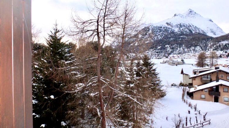 Cembro Grande - Silvaplana-Surlej, Switzerland