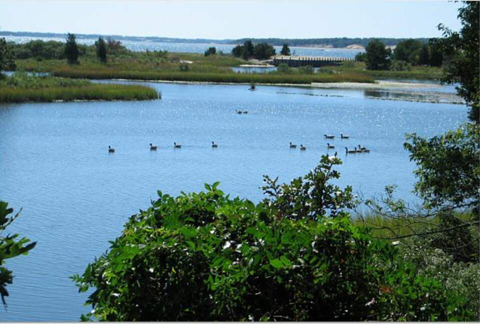 Long Island Wine Country - Cutchogue, New York