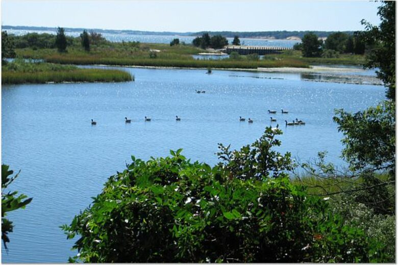 Long Island Wine Country - Cutchogue, New York