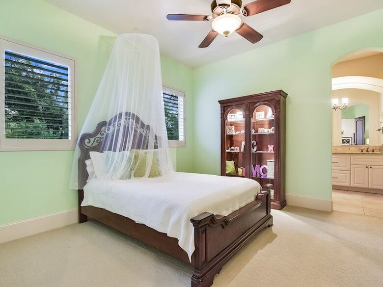 ABOVE - Lake Austin Elite Estate - Austin, Texas