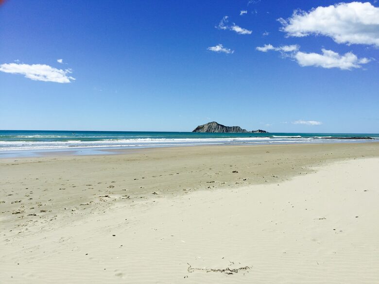 Award-Winning Kiwi Beach! - Waimarama, New Zealand