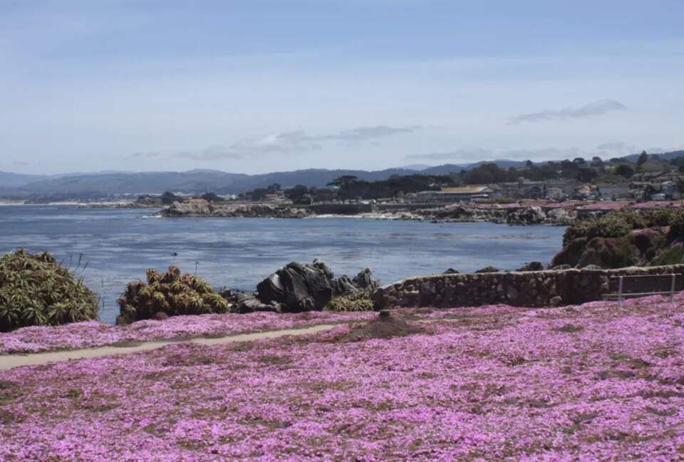 Storybook Cottage at Lover's Point - Pacific Grove, California