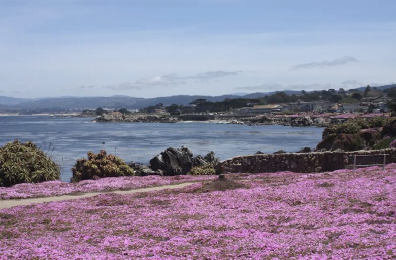 Storybook Cottage at Lover's Point - Pacific Grove, California