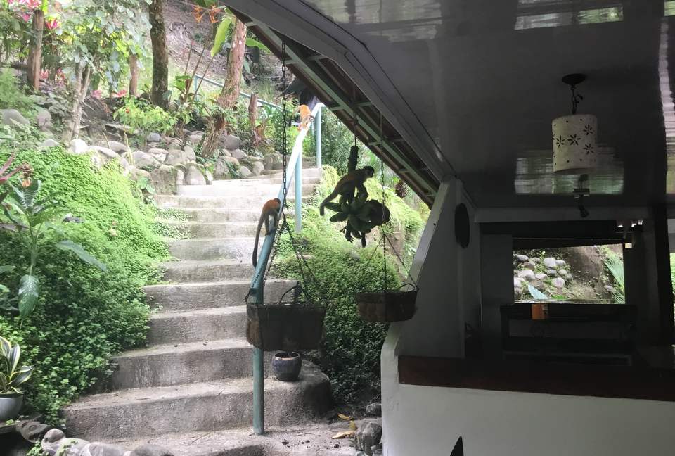 Las Cascadas The Falls - Quepos Manuel Antonio, Costa Rica