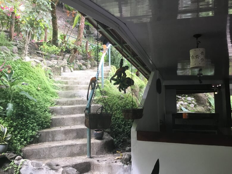 Las Cascadas The Falls - Quepos Manuel Antonio, Costa Rica