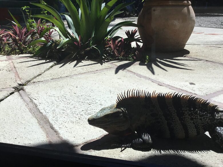 Las Cascadas The Falls - Quepos Manuel Antonio, Costa Rica