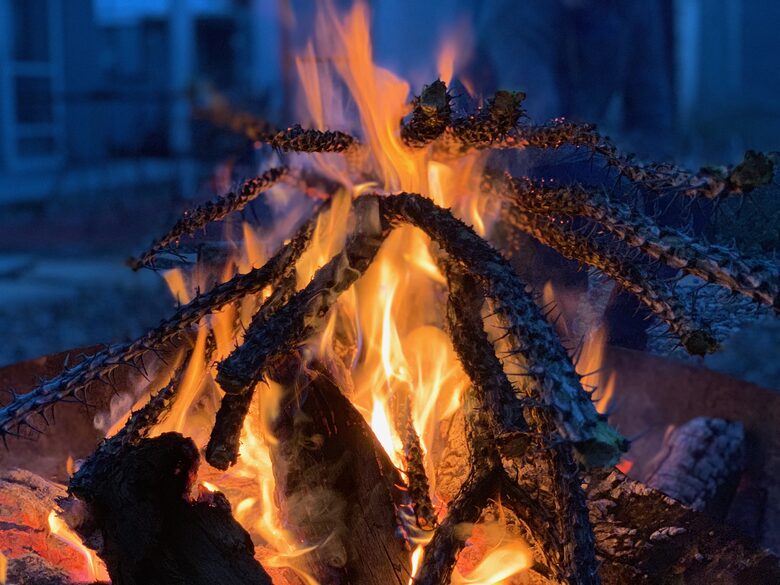 The 105 Lincoln - Marfa, Texas