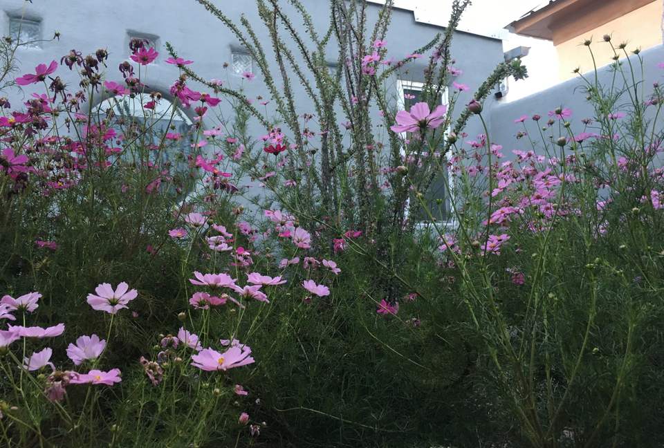 The 105 Lincoln - Marfa, Texas