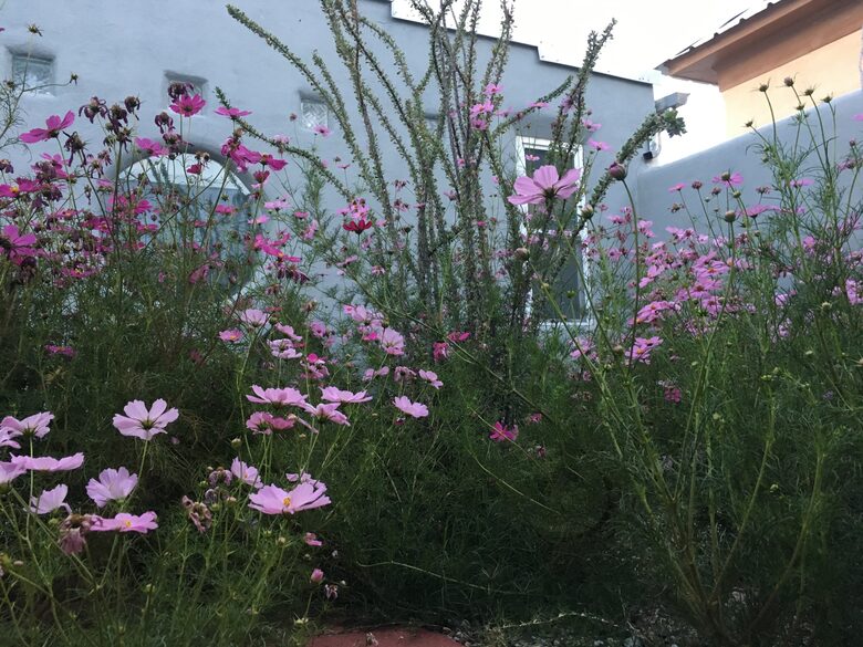 The 105 Lincoln - Marfa, Texas